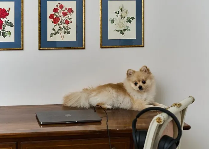 Glam Time * 제노바